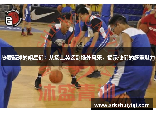 热爱篮球的明星们：从场上英姿到场外风采，揭示他们的多重魅力